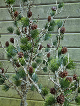 Lade das Bild in den Galerie-Viewer, Künstlicher Zedernbaum, 60 cm