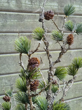 Lade das Bild in den Galerie-Viewer, Künstlicher Zedernbaum, 60 cm