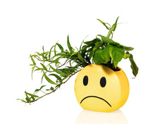 Lade das Bild in den Galerie-Viewer, Bitten Design Vase "Mood Pot", gelb