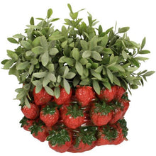 Lade das Bild in den Galerie-Viewer, Übertopf "Strawberry", 21 cm