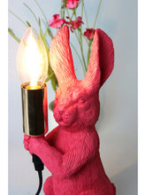 Lade das Bild in den Galerie-Viewer, Lampe "Bunny", pink