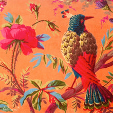 Lade das Bild in den Galerie-Viewer, Imbarro Kissen "Paradise" orange, 40 x 60 cm