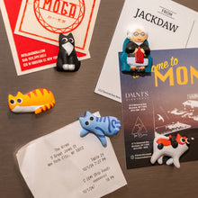 Lade das Bild in den Galerie-Viewer, Kikkerland 5er-Set Magnete "Crazy Cat Lady"