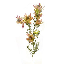Lade das Bild in den Galerie-Viewer, Kunstblume Protea, rosa