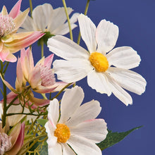 Lade das Bild in den Galerie-Viewer, Detailsaufnahme einer künstlichen, weißen Kosmee-Blüte vor blauem Hintergrund.