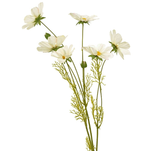 Kunstblume Cosmea mit sechs weißen Blüten und zwei Knospen.