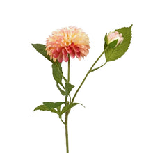 Lade das Bild in den Galerie-Viewer, Künstliche, rosafarbene Dahlie mit einer großen und einer aufgehenden Blüte und grünen Blätter.