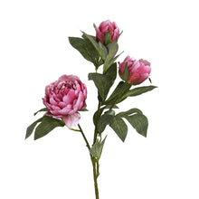 Lade das Bild in den Galerie-Viewer, Kunstblume Pfingstrose, pink