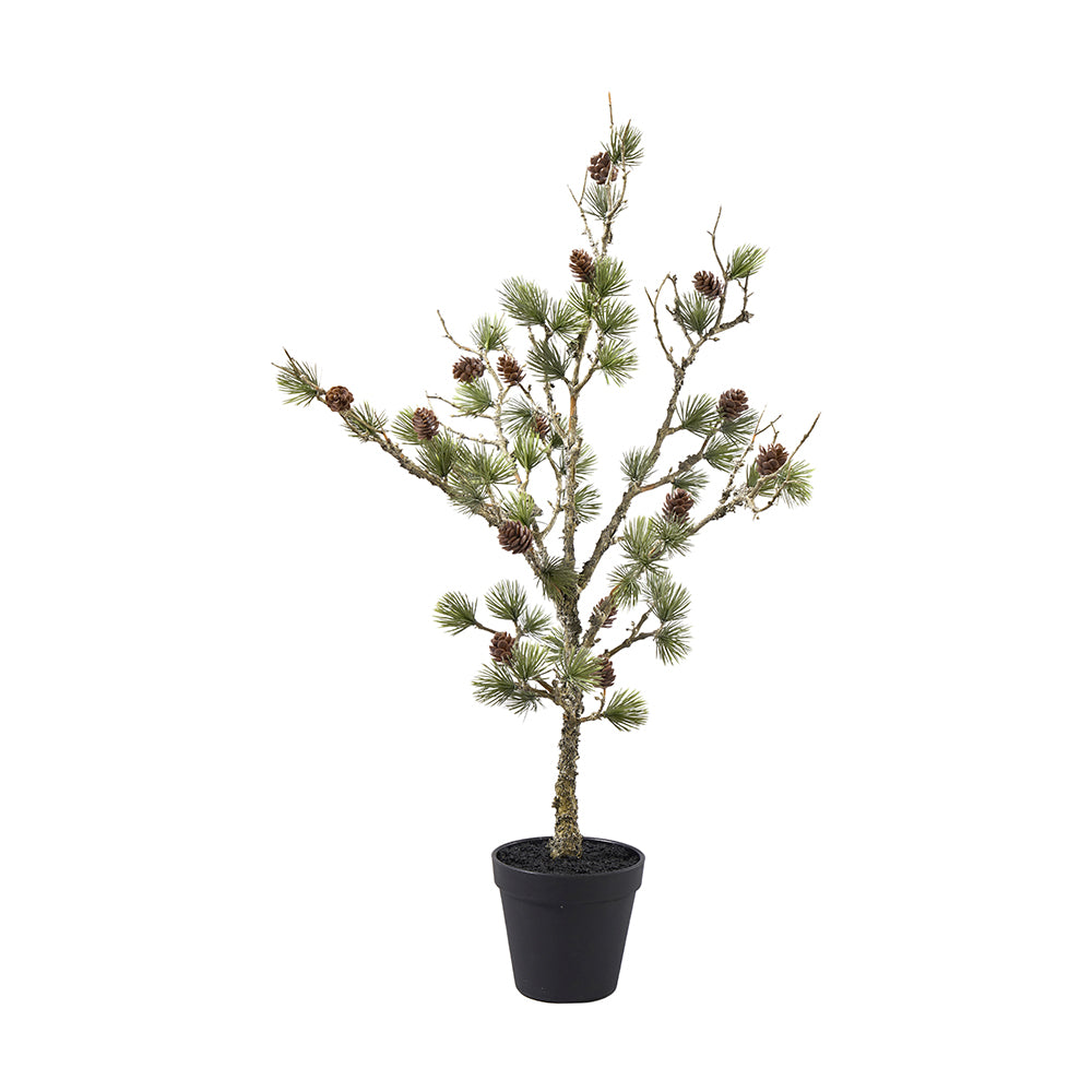 zeder kunstpflanze Künstlicher Zedernbaum, 60 cm – Shoppen Im Kaufrausch