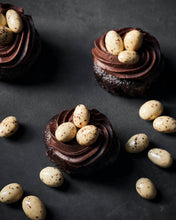 Lade das Bild in den Galerie-Viewer, Nicolas Vahé Schoko-Mandeln "Chocolate Covered Almonds", 190 g