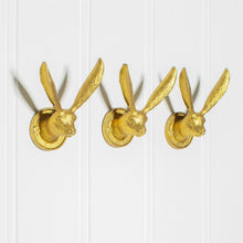 Lade das Bild in den Galerie-Viewer, 3 goldene Wandhaken in Form von Hasenköpfen nebeneinander an ene Wand geschraubt.
