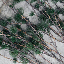 Lade das Bild in den Galerie-Viewer, House Doctor künstlicher Lärchenzweig "Larch", 97 cm