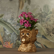 Lade das Bild in den Galerie-Viewer, Goldener Schimpansen-Kopf "Bruce" von Werner Voss als Übertopf für pinke Hortensien.