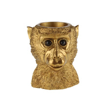 Lade das Bild in den Galerie-Viewer, Der Übertopf "Bruce" von Werner Voß ist ein Blumentopf in Form eines goldenen Affen-Kopfes.