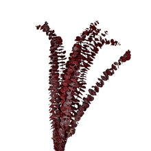 Lade das Bild in den Galerie-Viewer, Ein Bund getrockneter Eukalyptus in rot.