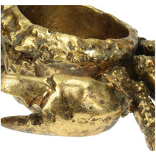 Lade das Bild in den Galerie-Viewer, Detailaufnahme der Oberflächenstruktur der goldenen Krabbenschale.