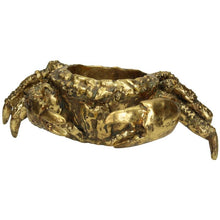Lade das Bild in den Galerie-Viewer, Goldene Krabbe mit Öffnung auf dem Panzer, die als Schale bzw. Blumentopf dienen kann.