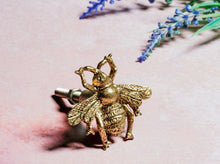 Lade das Bild in den Galerie-Viewer, Möbelknopf Biene, gold