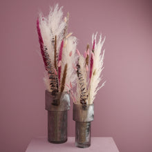 Lade das Bild in den Galerie-Viewer, 10 x Pampasgrasstaude gebleicht, 145 cm