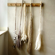 Lade das Bild in den Galerie-Viewer, Sortiment an Trockenblumen als Wanddeko. Zu sehen sind eine naturfarbene Pampasgrasstaude, ein Baumwollzweig, Samtgras sowie gebleichte und natürliche Pampasgräser im Bund.