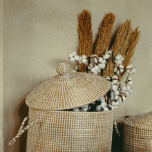 Lade das Bild in den Galerie-Viewer, 10 x Pampasgrasstaude natur, 115 cm