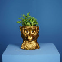 Lade das Bild in den Galerie-Viewer, Goldener Übertopf im Form eines Affen-Kopfes von Werner Voss.