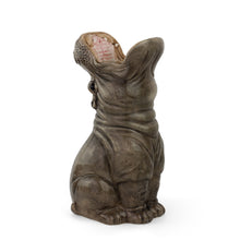 Lade das Bild in den Galerie-Viewer, Donkey Products Vase "Hungry Hippo", 42 cm
