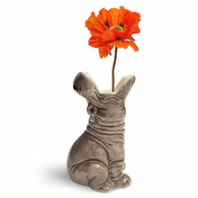 Lade das Bild in den Galerie-Viewer, Donkey Products Vase "Hungry Hippo", 14 cm
