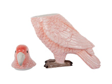 Lade das Bild in den Galerie-Viewer, Aufbewahrungsdose &quot;Papagei&quot;, rosa
