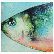 Lade das Bild in den Galerie-Viewer, 2er-Set Kissen &quot;Blue Fish&quot;, 35 x 50 cm
