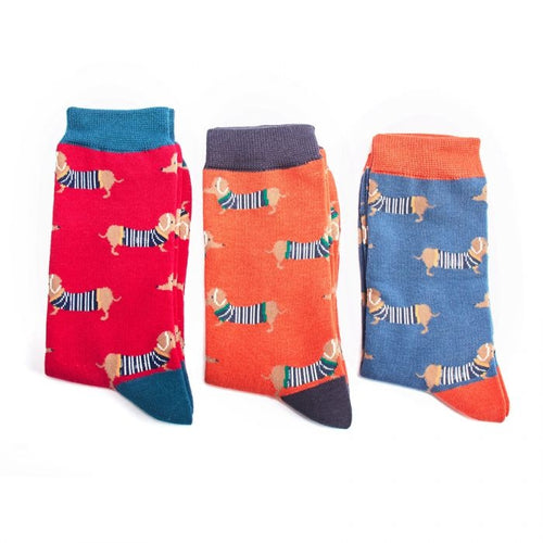 3 Paar Herren-Socken von Mr. Heron in rot, orange und blau. Die Strümpfe haben ein Dackel-Muster. Der Hund trägt einen gestreiften Pullover.