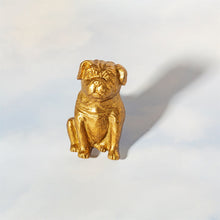 Lade das Bild in den Galerie-Viewer, Sass &amp; Belle Möbelknopf in Form eines sitzenden Mops. Der Griff ist aus goldfarbenem Metall.
