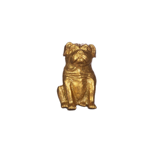 Möbeknopf in Form eines Mops-Hundes aus goldfarbenem Metall.
