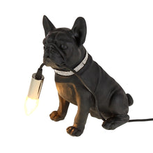 Lade das Bild in den Galerie-Viewer, Seitenansicht der Lampe Francis von Werner Voß in Form einer schwarzen französischen Bulldogge. Der Frenchie hält ein Kabel mit Fassung in der Schnauze. In die Fassung kann eine Glühbirne mit E14-Fassung eingeschraubt werden. Der Hund trägt ein Halsband mit glitzernden Strasssteinen.
